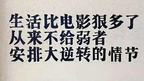 石家庄网红文字稿拍摄,城市新声，情感共鸣