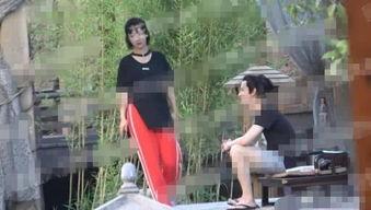 爆料杨紫张家辉视频大全,精彩瞬间大盘点