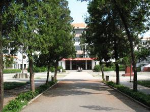 镇平第一网红,揭秘网络红人的崛起之路