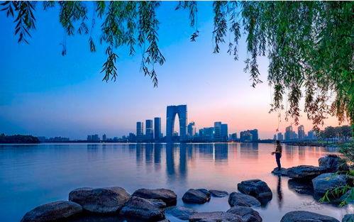 苏州景点爆料视频最新,探秘古韵今风，揭秘热门打卡地！