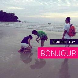 今日头条海边捡贝壳,探寻贝壳的秘密之旅